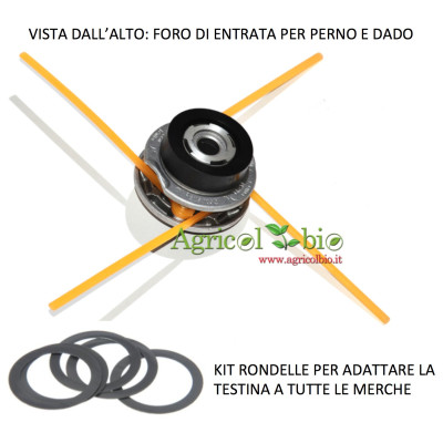Testina alto + serie rondella Testina alto + serie rondella