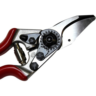 SET FELCO | Forbice potatura F6 + F701| AgricolBio.it