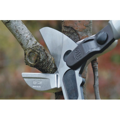 FELCO 231 - Troncarami da potatura a 2 mani Felco | AgricolBio.it