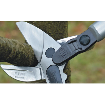 FELCO 231 - Troncarami da potatura a 2 mani Felco | AgricolBio.it