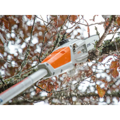 Stihl HTA 56 Set - Potatore a batteria su Asta | AgricolBio.it