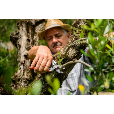 Forbice Stocker Ergo Light 21 - Manico Ergonomico | AgricolBio.it