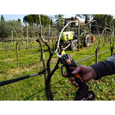 WORX WG330E.9 - Forbice potatura a batteria | AgricolBio.it