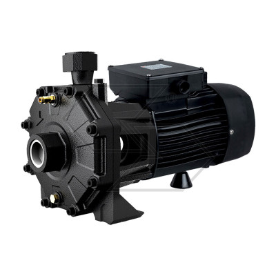 GLONG New Twin Elettropompa centrifuga bigirante | AgricolBio.it