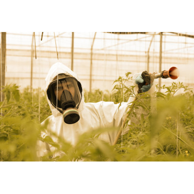 Maschera a pieno facciale Panarea | AgricolBio.it