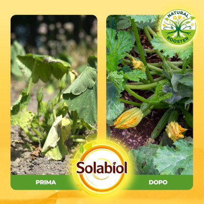 Concime biologico a base di alga - Solabiol 1 litro | AgricolBio.it