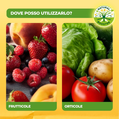 Concime biologico a base di alga - Solabiol 1 litro | AgricolBio.it