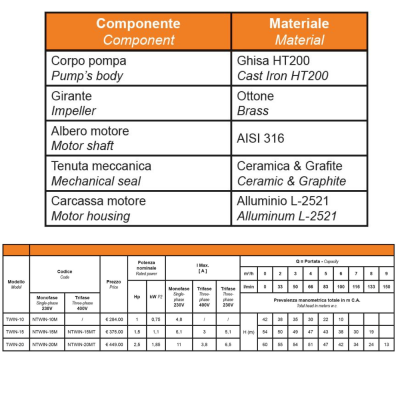 GLONG New Twin Elettropompa centrifuga bigirante | AgricolBio.it