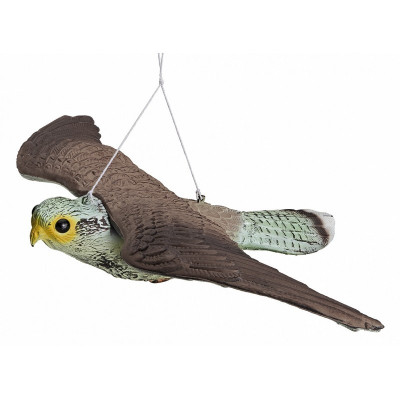 Falco dissuasore per volatili
