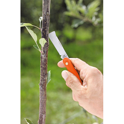 Coltello da innesto 55 C. Stocker Coltello da innesto 55 C. Stocker