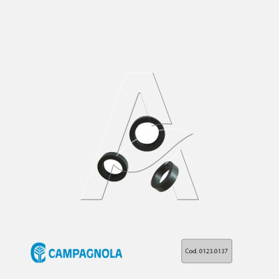 GUARNIZIONE SPECIALE DISTRIBUTORE - 0123.0137 GUARNIZIONE SPECIALE DISTRIBUTORE - 0123.0137