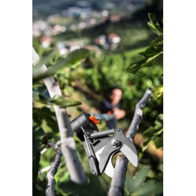 Forbice asta telescopica professionale Stocker | AgricolBio.it