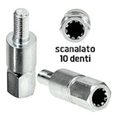 Inserto adattatore scanalato 10 denti - D. 8,6 mm Inserto adattatore scanalato 10 denti - D. 8,6 mm