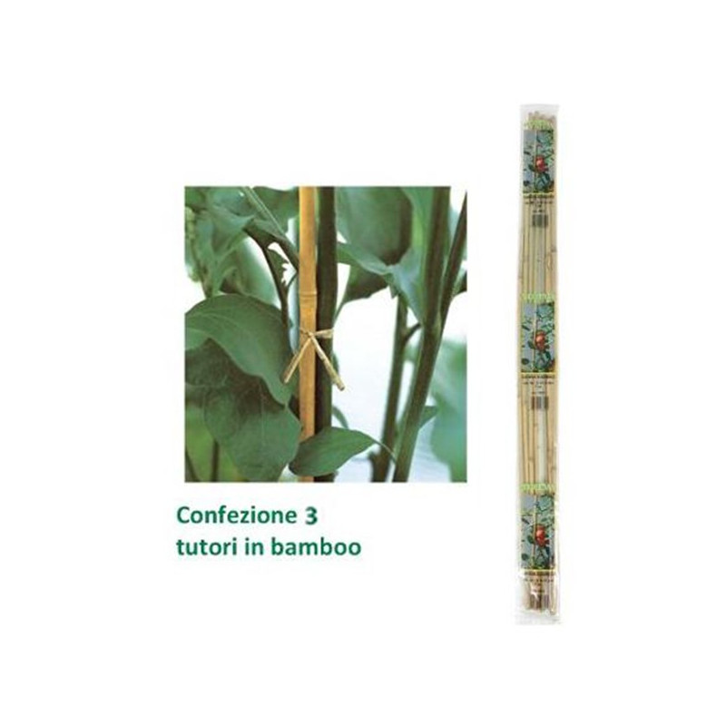 Tutore in bamboo conf. 3 pezzi H 150 cm - Verdemax