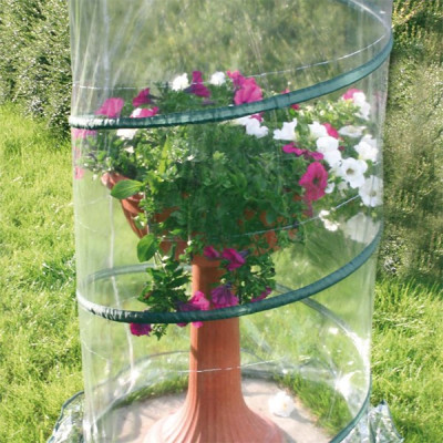 Serra Pop-Up Anthurium D. 70x100 H Art. V2634 - Verdemax Serra Pop-Up Anthurium D. 70x100 H Art. V2634 - Verdemax