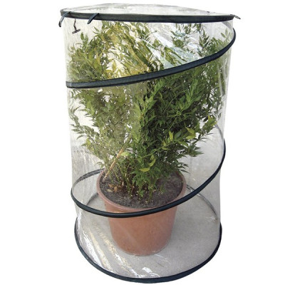 Serra Pop-Up Anthurium D. 70x100 H Art. V2634 - Verdemax Serra Pop-Up Anthurium D. 70x100 H Art. V2634 - Verdemax