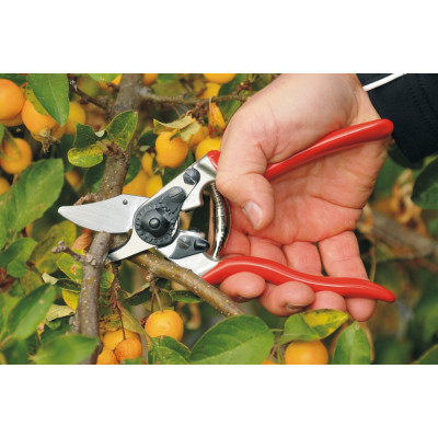 FELCO 6 - Forbice da potatura professionale F6 FELCO 6 - Forbice da potatura professionale F6