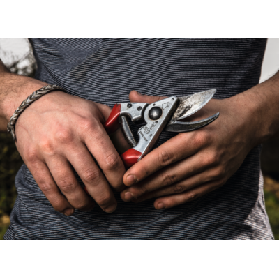 SET FELCO composto da: Forbice potatura F8 + F701 SET FELCO composto da: Forbice potatura F8 + F701